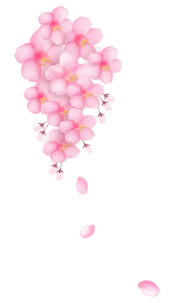唯美樱花免扣PNG素材，高清透明花瓣，PSD格式设计元素下载