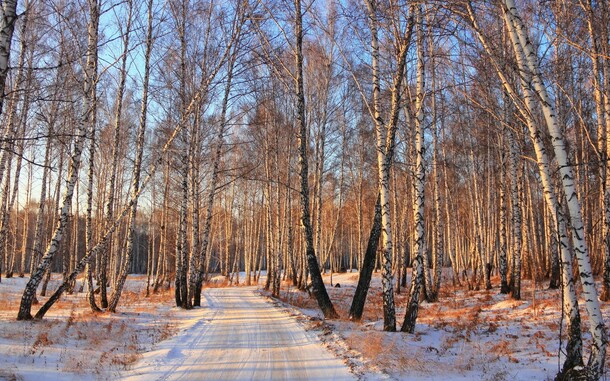 冬日初雪乡间小径，高清PNG透明背景风景摄影图片素材下载