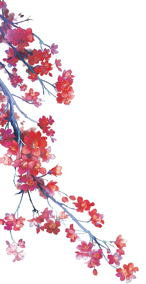 梅花PNG透明高清素材，漂浮花瓣设计元素，免费下载