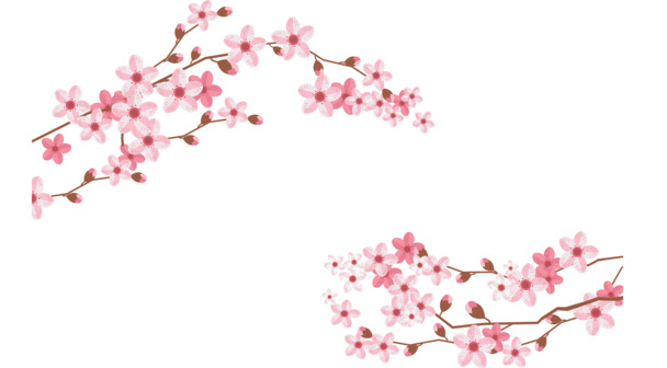 日本樱花边框PNG透明图片，粉红花瓣漂浮元素，高清设计素材下载