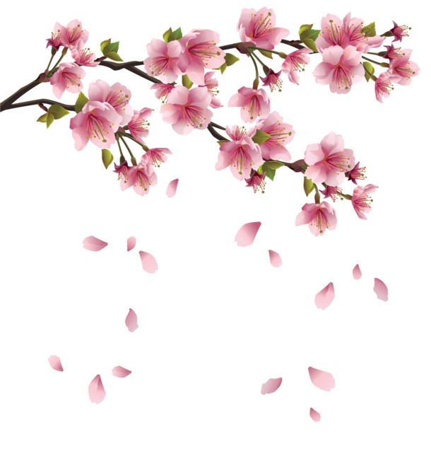 桃花花瓣高清PNG透明图，漂浮元素设计素材，免费下载