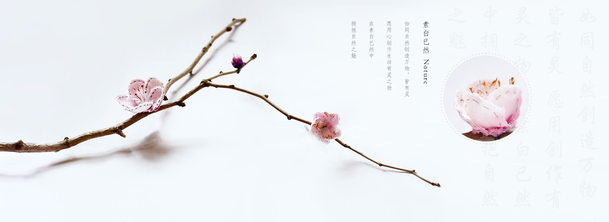 梅花花枝古风PNG背景，古典中国风设计素材高清下载