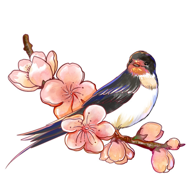 梅花与鸟儿手绘PNG，高清透明动植物元素，设计素材下载