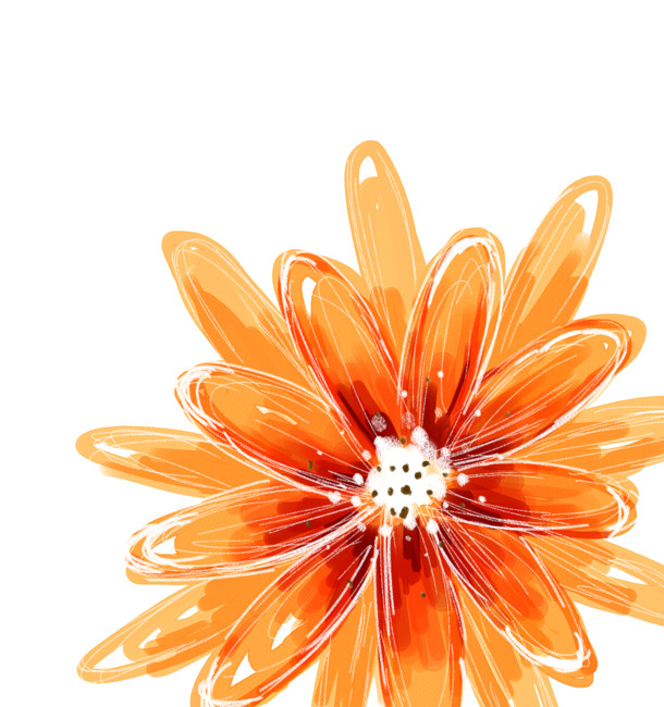 橙色油画花朵PNG透明图，高清漂浮花瓣素材，免费下载