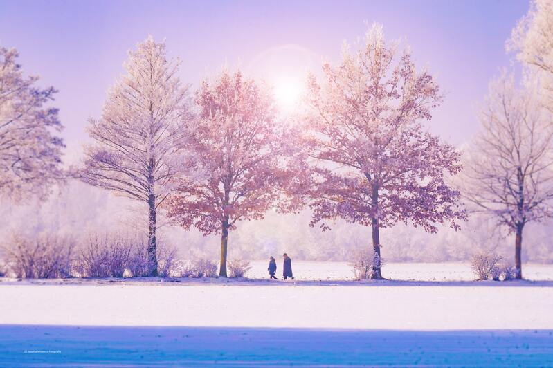 雪景雪山高清图集，文艺清新JPG素材，纯净白色雪地美照下载