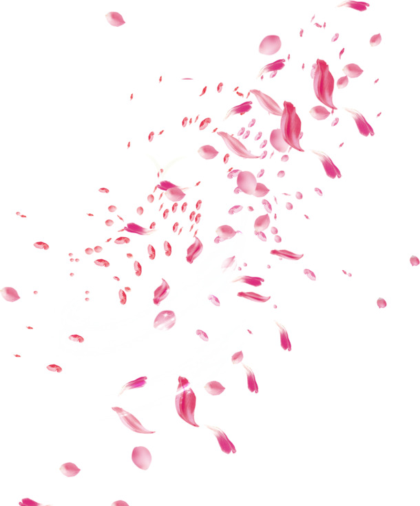 高清透明玫瑰花瓣PNG图片，漂浮元素PSD设计素材免费下载