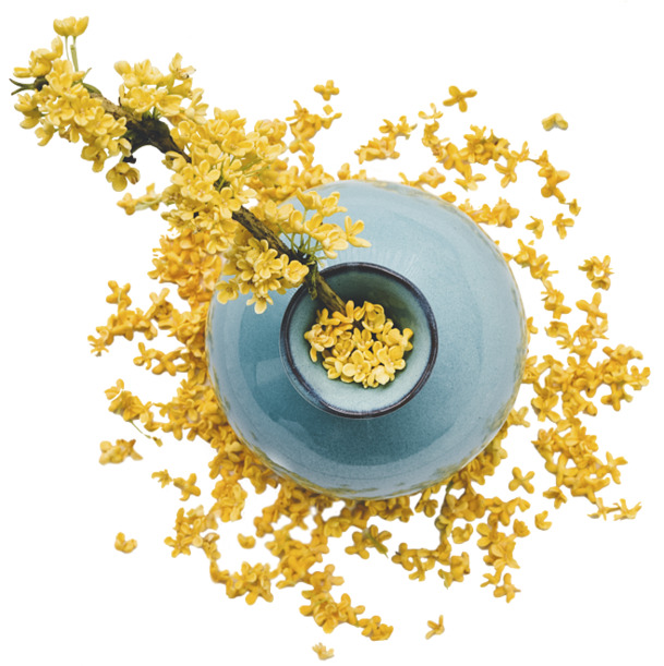 中秋佳节必备，桂花高清PNG透明图片，节日元素一网打尽，免费下载！
