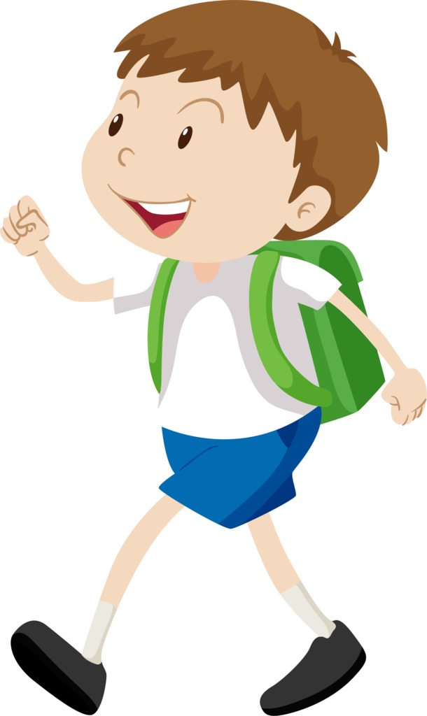 中小学生开学日，精选高清PNG透明花瓣图片，设计素材免费下载
