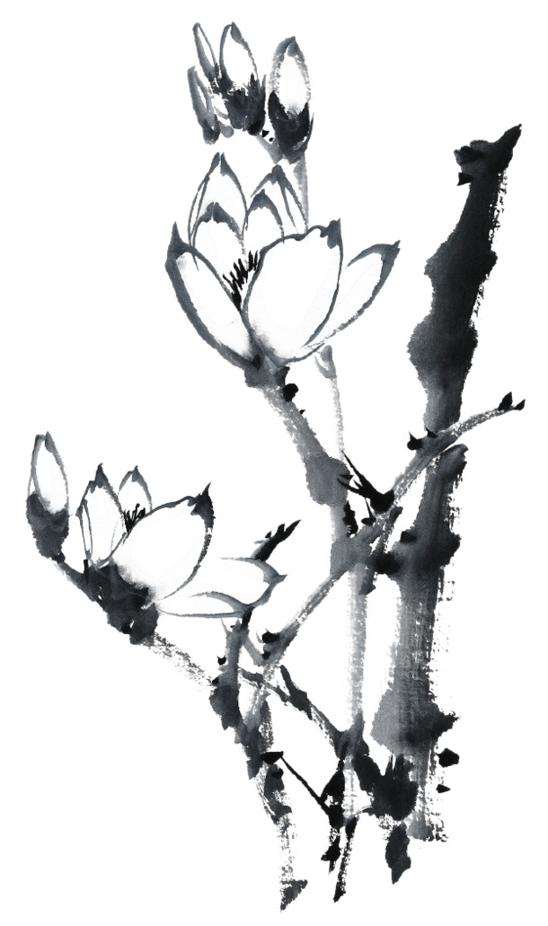水墨画高清PNG素材，透明装饰元素，墨迹笔触，设计必备，免费下载