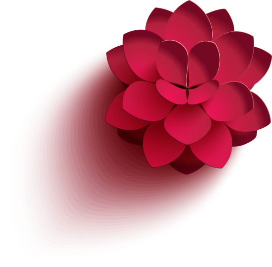 3D立体花卉PNG高清展示，节日元素素材下载，适用于元旦、春节、元宵