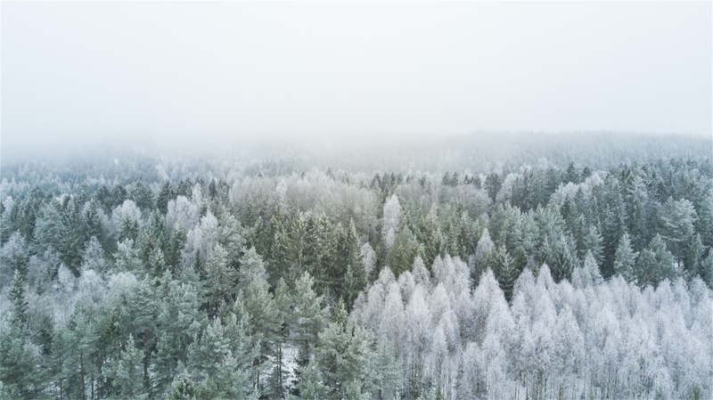 冬日雪景绝美高清JPG图片，自然风景摄影与设计素材下载