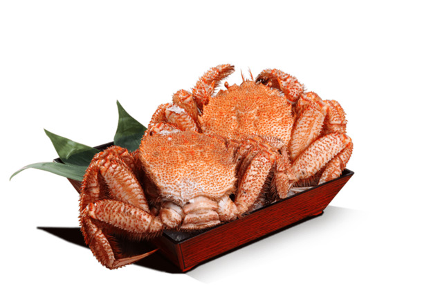 高清PNG螃蟹美食图片，透明装饰元素，动物设计素材下载