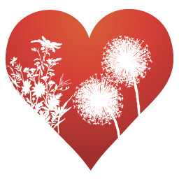 高清PNG烟花红心图标，节日元素设计素材，情人节专属，透明背景，一键下载