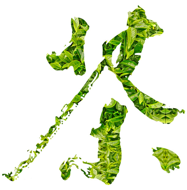 茶艺术字PNG透明图片，高清免抠元素，字体设计素材下载