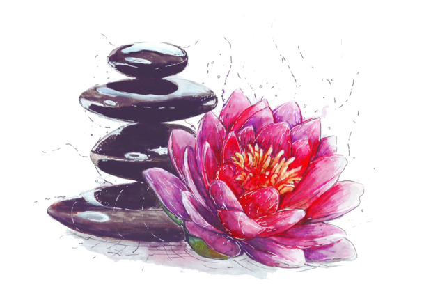 荷花与石头插画，高清PNG透明图片，精美装饰花纹，设计素材免费下载