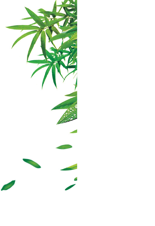 端午节PNG透明图片，高清节日元素，设计素材免费下载