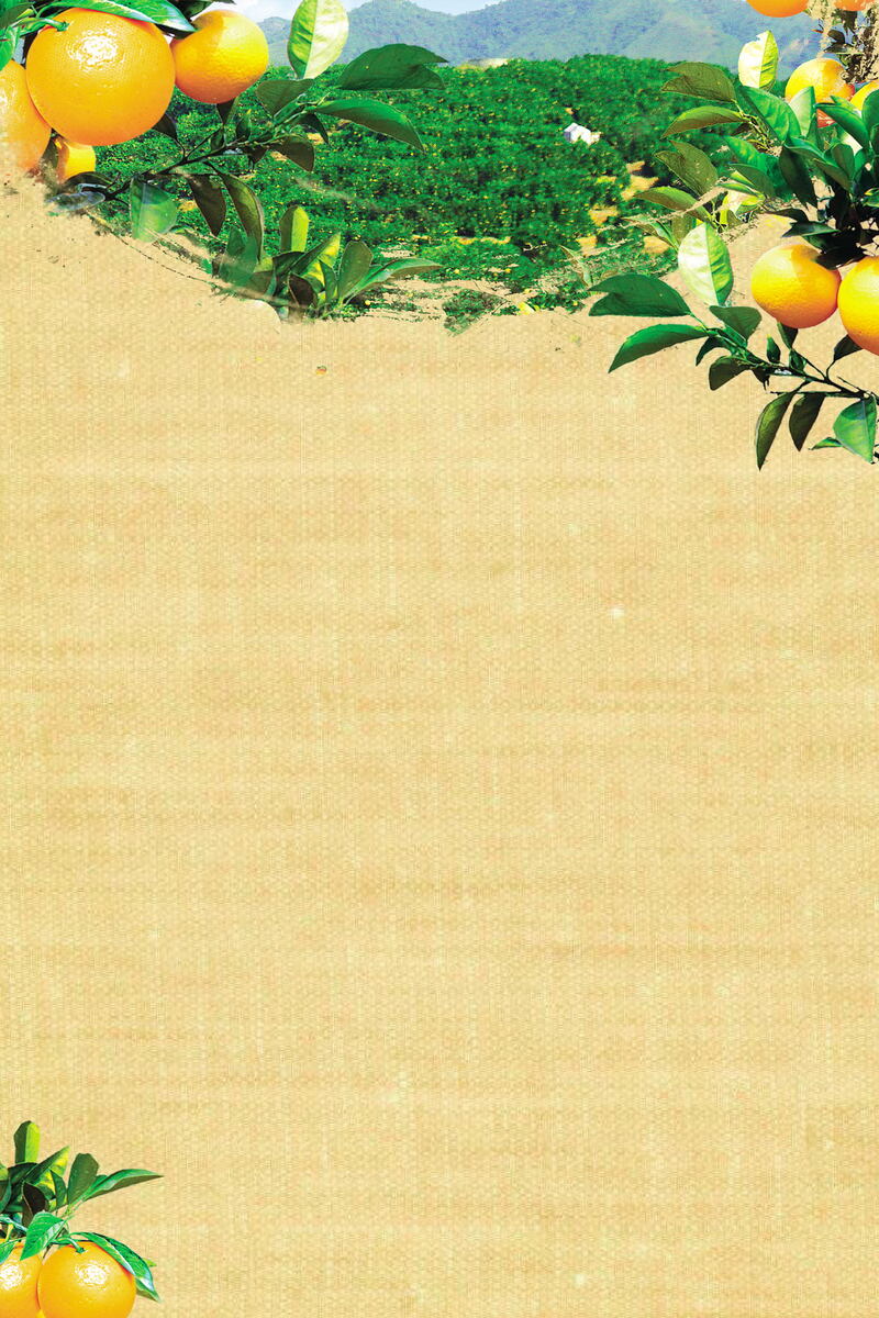 清新蜜桔高清JPG图片，另类水果图片素材下载
