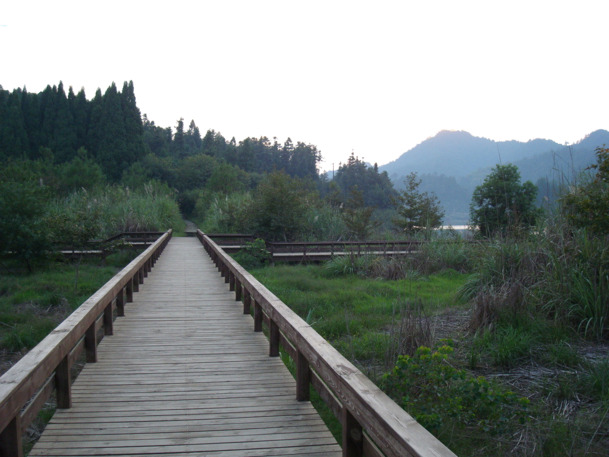 城市栈桥高清PNG透明背景图片，摄影风景素材，免费下载