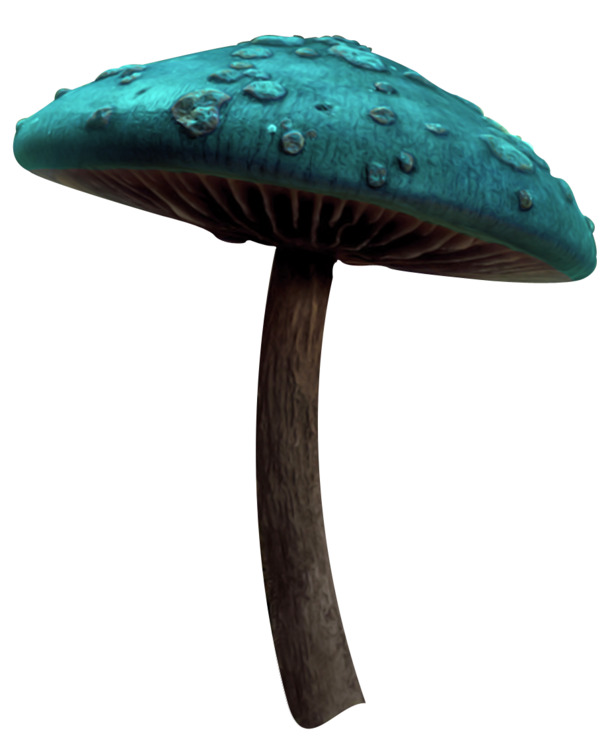 魔幻氛围场景，高清PNG透明蘑菇图片，创意植物装饰元素，设计素材下载