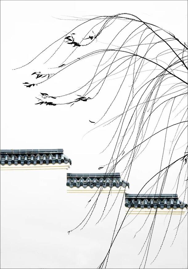 中国风水墨树叶建筑PNG透明图，古典元素背景素材下载
