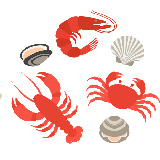 手绘海鲜美食PNG/EPS矢量图，高清透明，卡通元素丰富，设计素材下载