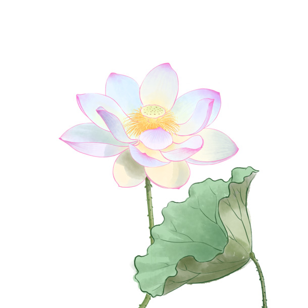中国风工笔荷花荷叶PNG素材，高清透明手绘卡通元素，免费下载