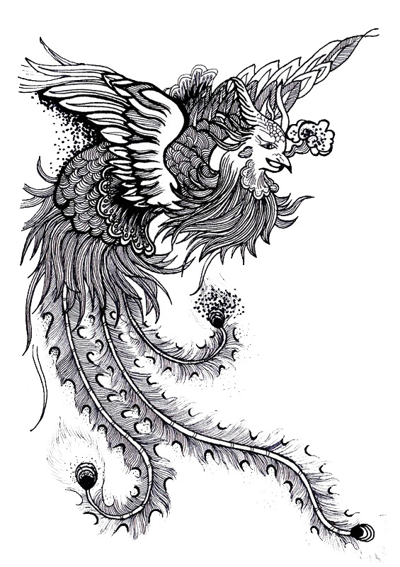 中国风黑白凤凰PNG透明图片，高清动物装饰元素，设计素材免费下载