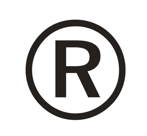注册商标R字PNG透明图标，高清免抠素材，设计必备下载