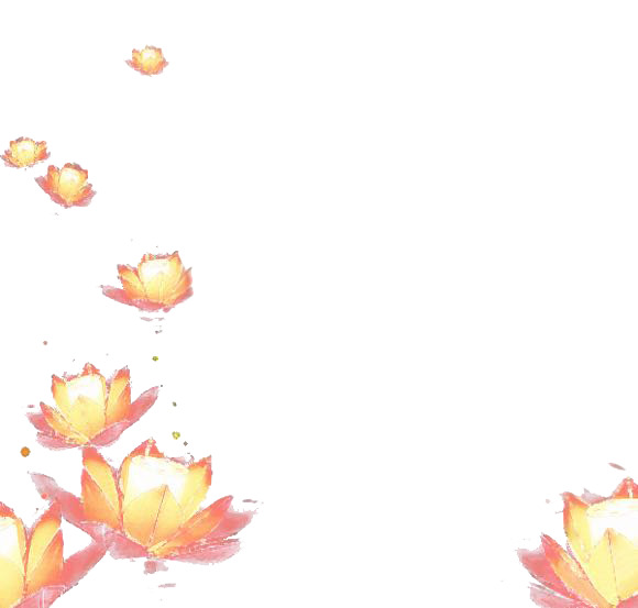 花灯、莲花、河灯漂浮元素，高清PNG透明图片，花瓣设计素材下载