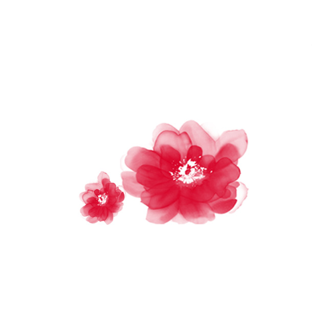 妇女节花卉PNG素材，高清透明图片，节日元素设计下载