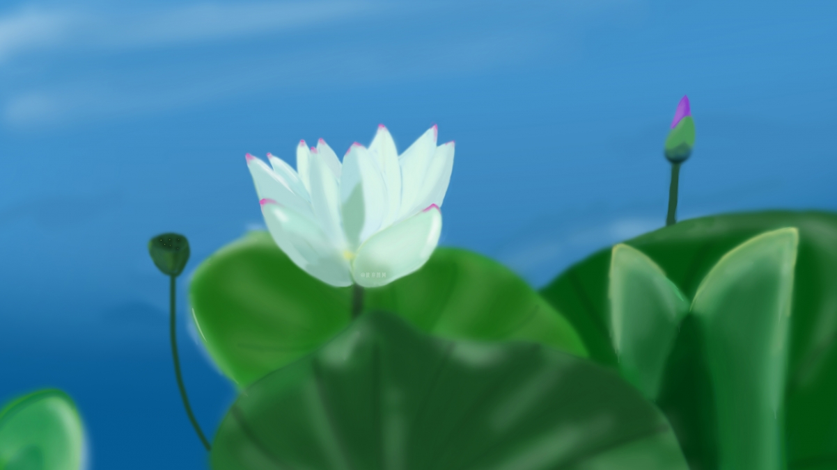 手绘荷花白荷风景，绝美4K壁纸，高清3840x2160免费下载