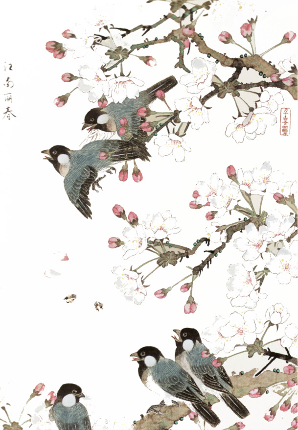 古风彩绘树鸟PNG透明图，动植物元素设计素材高清下载