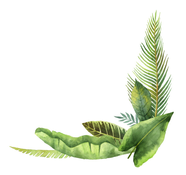 手绘卡通绿色植物叶边框PNG素材，高清透明图片设计下载