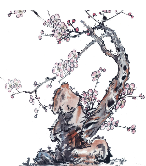 古风梅花PNG透明图，高清装饰元素，带墨迹笔触，设计素材免费下载