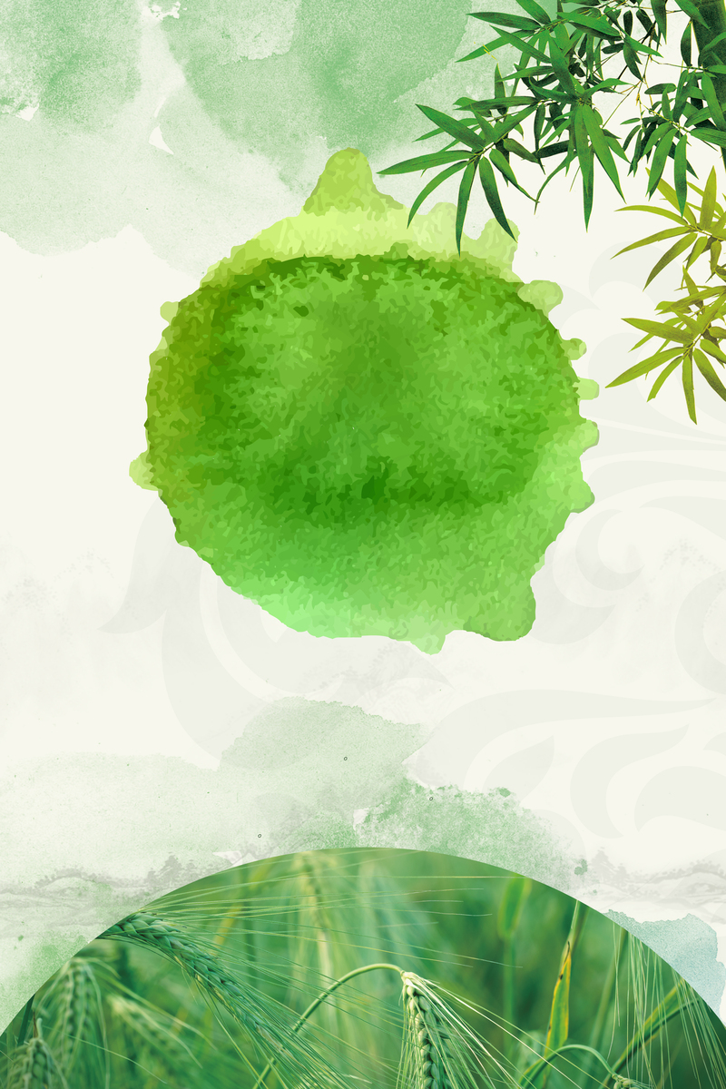 草绿水墨淡雅小满节气海报背景，高清JPG/PSD中国风素材下载