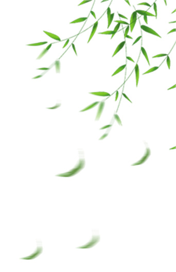 柳叶迎春，高清PNG透明图片，展现春天模糊枝条之美，动植物元素植物图片设计素材下载