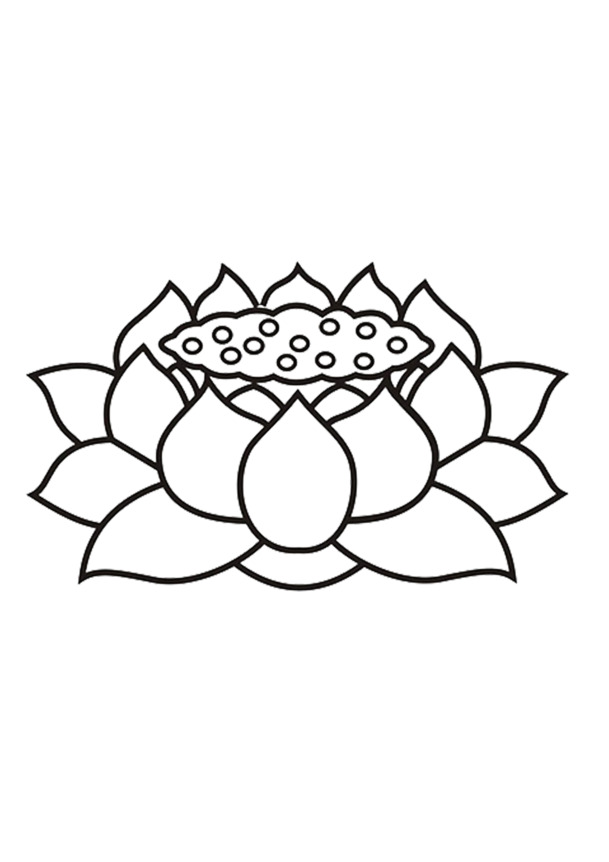 高清PNG透明莲花图标，免扣元素，创意图片设计素材下载