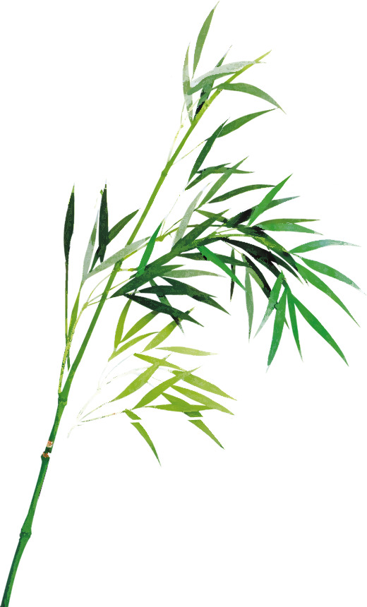 手绘翠绿竹叶PNG透明图，动植物元素设计素材高清下载