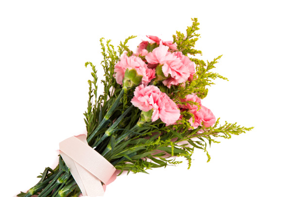 妇女节粉色康乃馨花束PNG透明图片，节日元素设计素材下载