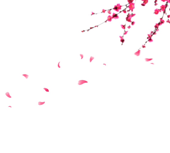 高清PNG透明梅花图片，漂浮花瓣设计素材，免费下载
