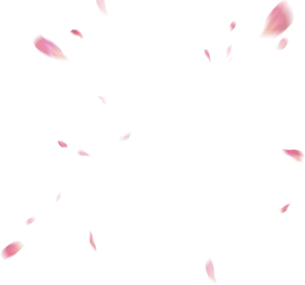 花瓣漂浮PNG素材，高清透明图片，创意设计元素，免费下载