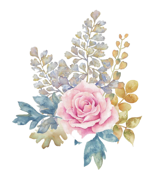 水彩花卉PNG透明图片，高清花瓣漂浮元素，设计素材免费下载