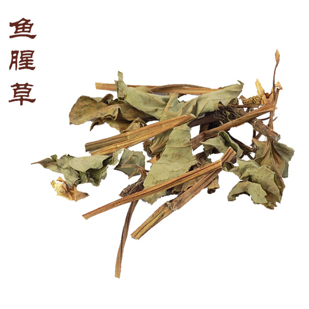 鱼腥草叶子高清PNG透明图片，动植物元素设计素材下载