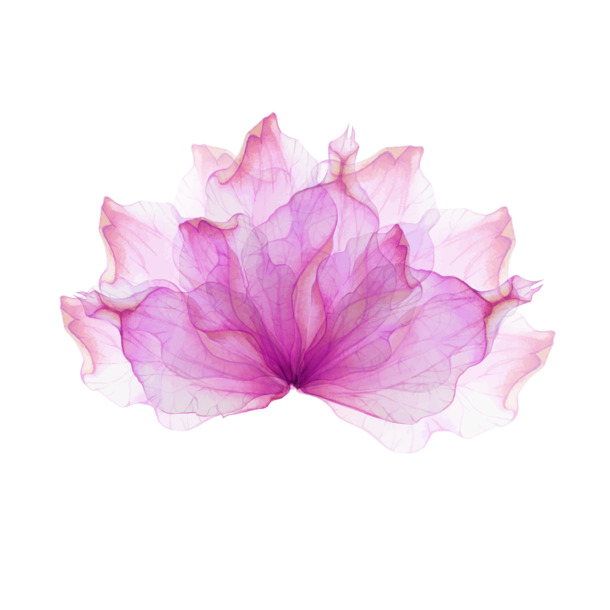 粉色水彩花PNG透明图片，高清花瓣漂浮元素，设计素材免费下载