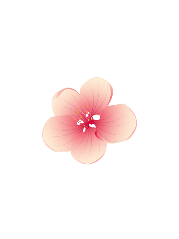 梅花绽放，高清PNG透明图片，漂浮花瓣元素，设计素材免费下载