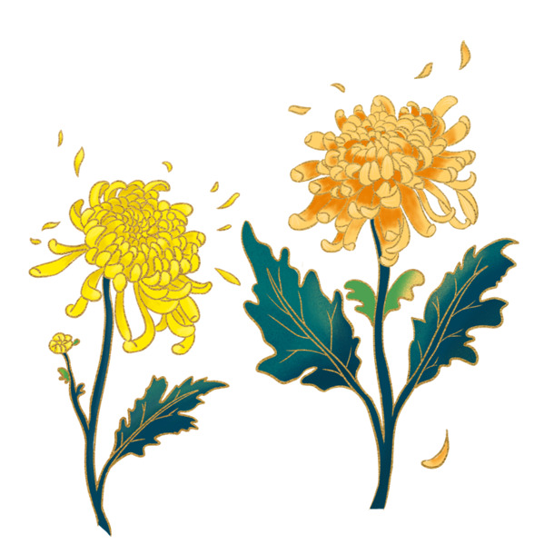 秋韵重阳，高清PNG菊花动植物元素，透明图片设计素材免费下载