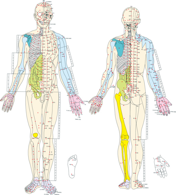 中国风人体穴位图PNG，高清透明装饰元素，免费下载设计素材