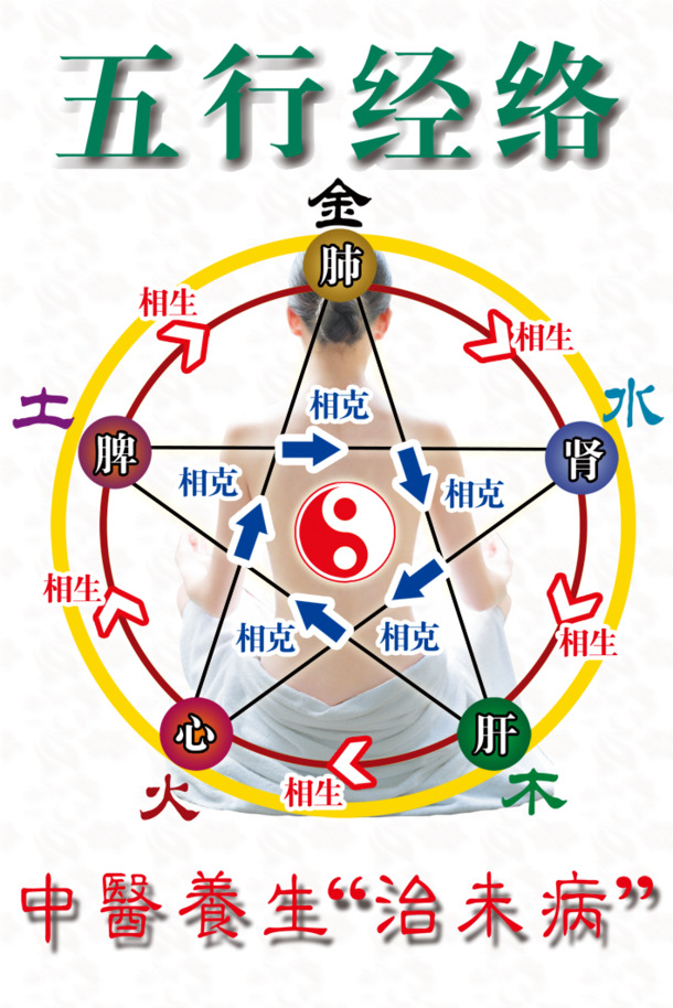 五行经络PNG透明免抠元素，高清图片素材，轻松下载设计所需