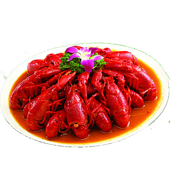 龙虾PNG透明图片，高清装饰元素，动物设计素材下载