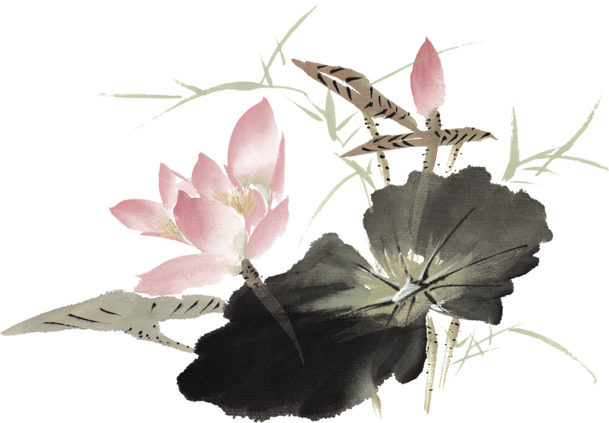 手绘粉色莲花海报，古典中国风PNG透明背景图片素材下载